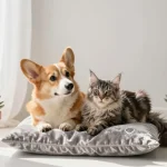 Essential Care Tips for Healthy Pets and Happy Owners